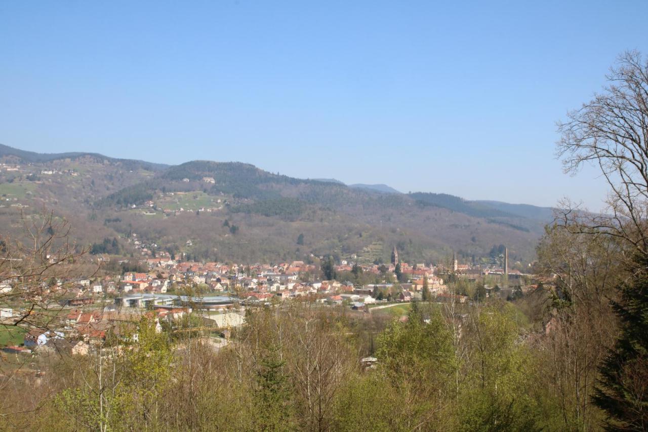 Gite Le Chataignier Luttenbach-près-Munster Εξωτερικό φωτογραφία